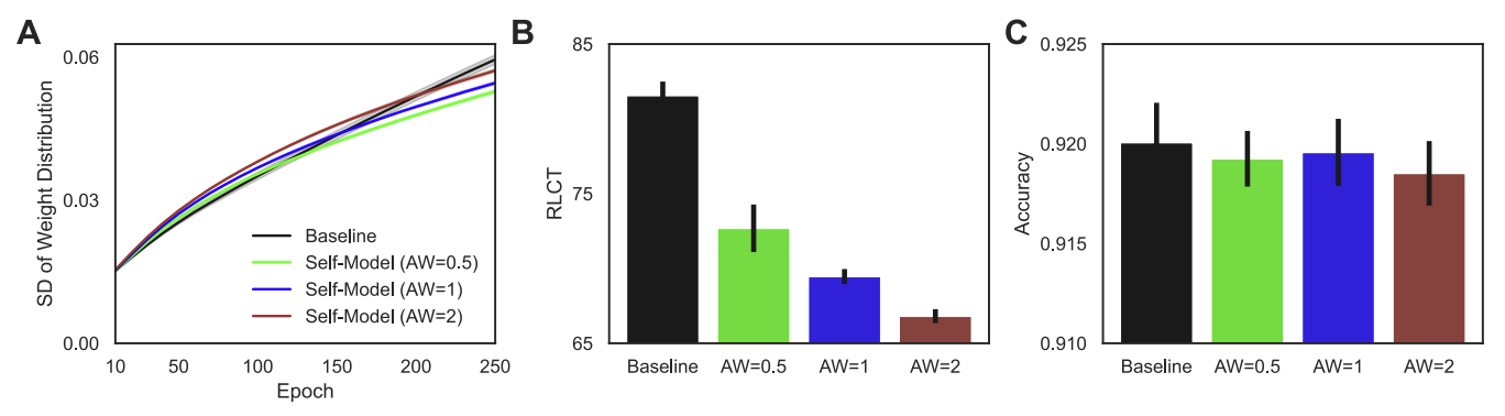 Scaling effect of self-modeling weight on network complexity